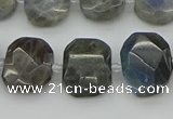 CNG5722 15.5 inches 12*16mm - 15*20mm faceted freeform labradorite beads