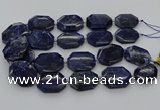 CNG5765 15.5 inches 20*30mm - 35*45mm faceted freeform sodalite beads