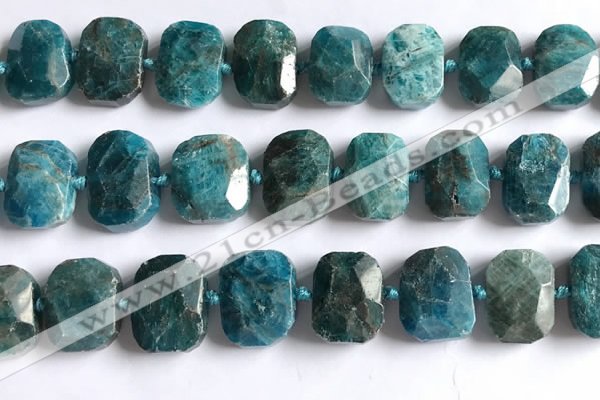 CNG5789 15.5 inches 13*18mm - 15*20mm faceted freeform apatite beads