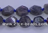 CNG5790 10*12mm - 10*14mm faceted freeform labradorite beads