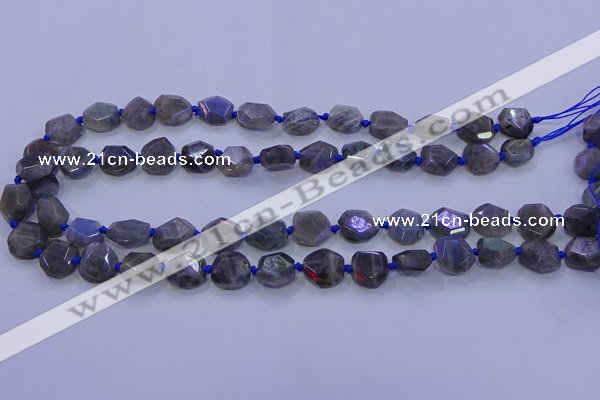 CNG5790 10*12mm - 10*14mm faceted freeform labradorite beads