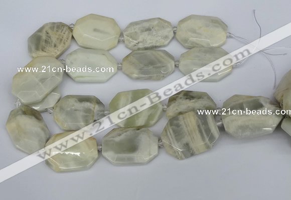 CNG5834 15.5 inches 20*30mm - 35*45mm faceted freeform moonstone beads