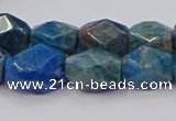 CNG5926 15.5 inches 10*14mm - 12*16mm faceted nuggets apatite beads