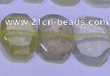 CNG6304 15.5 inches 13*18mm - 15*20mm faceted freeform lemon quartz beads