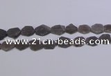 CNG6359 15.5 inches 14*18mm - 16*22mm freeform matte smoky quartz beads