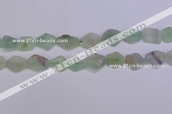 CNG6361 15.5 inches 14*18mm - 16*22mm freeform matte fluorite beads