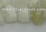 CNG6925 12*16mm - 15*20mm faceted nuggets white moonstone beads