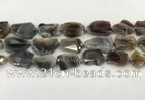 CNG6947 15.5 inches 18*20mm - 22*25mm freeform Botswana agate beads