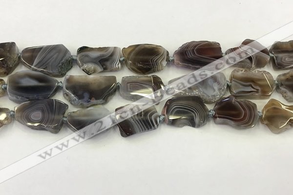 CNG6947 15.5 inches 18*20mm - 22*25mm freeform Botswana agate beads