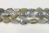 CNG6948 15.5 inches 18*20mm - 22*30mm freeform blue chalcedony beads