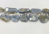 CNG6951 15.5 inches 22*30mm - 30*40mm freeform blue chalcedony beads