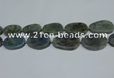 CNG7052 15.5 inches 25*35mm - 30*45mm freeform labradorite beads