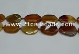 CNG7083 15.5 inches 25*35mm - 35*45mm faceted freeform agate beads