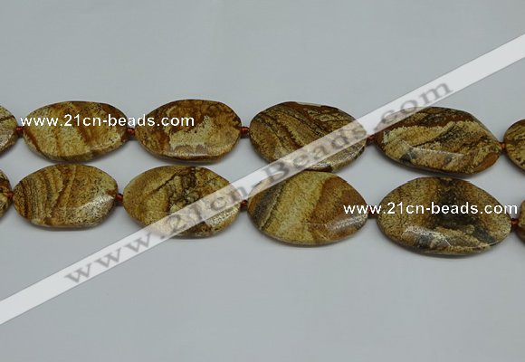 CNG7105 25*35mm - 35*45mm faceted freeform picture jasper beads