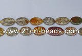 CNG7111 15.5 inches 18*25mm - 20*33mm freeform birdeye rhyolite beads