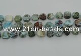 CNG7200 15.5 inches 12*14mm - 14*16mm faceted freeform larimar beads