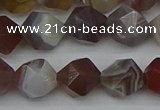 CNG7347 15.5 inches 10mm faceted nuggets botswana agate beads