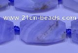 CNG7526 18*25mm - 25*35mm faceted freeform blue lace agate beads