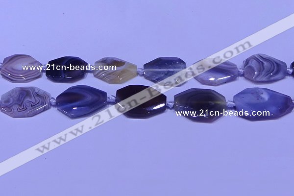 CNG7527 18*25mm - 25*35mm faceted freeform Botswana agate beads