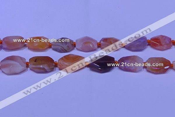 CNG7528 18*25mm - 25*35mm faceted freeform red Botswana agate beads