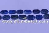 CNG7533 15.5 inches 18*25mm - 25*35mm faceted freeform apatite beads