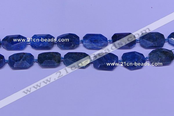 CNG7533 15.5 inches 18*25mm - 25*35mm faceted freeform apatite beads