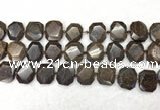 CNG7568 15.5 inches 18*25mm - 20*28mm faceted freeform bronzite beads