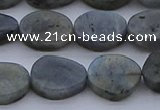 CNG7578 15.5 inches 10*14mm - 13*18mm freeform labradorite beads