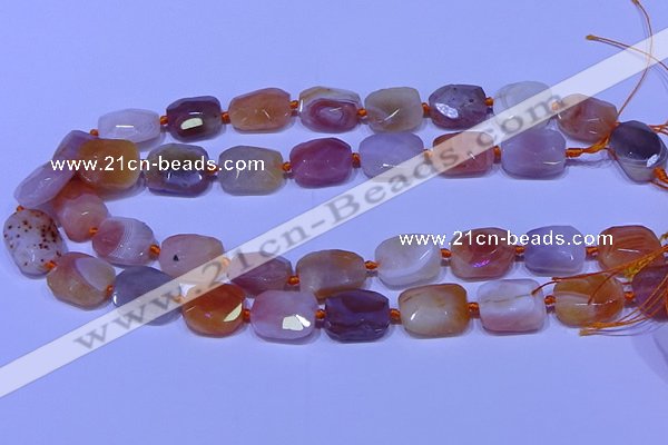 CNG7621 12*16mm - 13*18mm faceted freeform red botswana agate beads