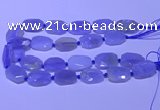 CNG7623 20*30mm - 22*32mm faceted freeform blue chalcedony beads