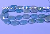 CNG7625 20*30mm - 22*32mm faceted freeform amazonite beads