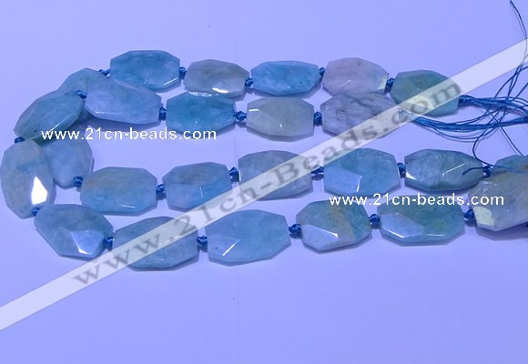 CNG7625 20*30mm - 22*32mm faceted freeform amazonite beads