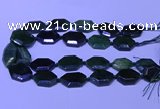 CNG7627 20*30mm - 22*32mm faceted freeform Canadian Jade beads