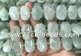 CNG7753 13*18mm - 15*25mm faceted freeform light prehnite beads