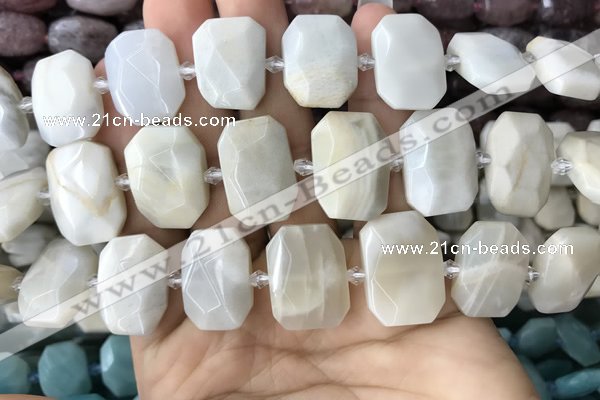 CNG7764 13*18mm - 15*25mm faceted freeform grey moonstone beads