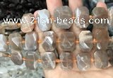 CNG7766 13*18mm - 15*25mm faceted freeform orange moonstone beads