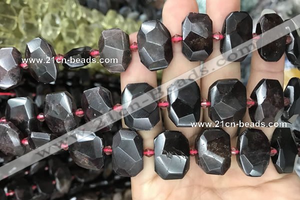 CNG7768 13*18mm - 15*25mm faceted freeform garnet beads