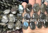 CNG7774 13*18mm - 15*25mm faceted freeform labradorite beads