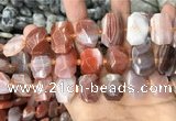 CNG7782 13*18mm - 15*25mm faceted freeform red Botswana agate beads