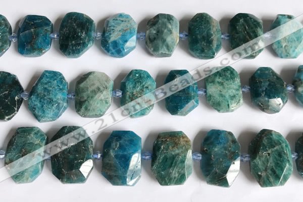 CNG7787 15.5 inches 13*18mm - 15*25mm faceted freeform apatite beads