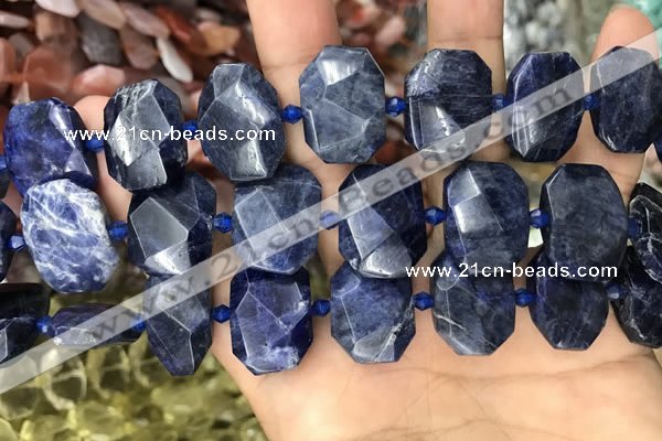 CNG7788 15.5 inches 13*18mm - 15*25mm faceted freeform sodalite beads