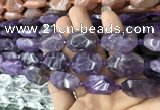 CNG7802 15.5 inches 13*18mm - 18*25mm faceted freeform amethyst beads