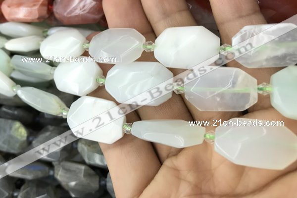 CNG7812 13*18mm - 18*25mm faceted freeform light prehnite beads