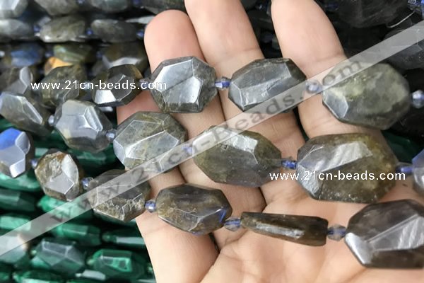 CNG7819 15.5 inches 13*18mm - 18*25mm faceted freeform labradorite beads