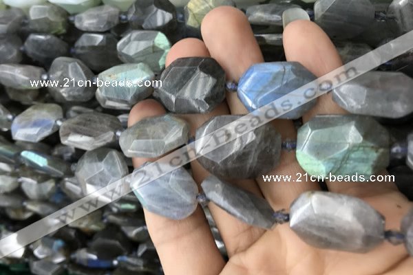 CNG7820 15.5 inches 13*18mm - 18*25mm faceted freeform labradorite beads