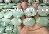 CNG7831 20*28mm - 25*35mm faceted freeform light prehnite beads