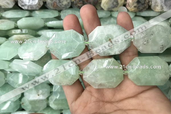 CNG7831 20*28mm - 25*35mm faceted freeform light prehnite beads