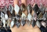 CNG7877 13*20mm - 15*25mm faceted freeform Botswana agate beads