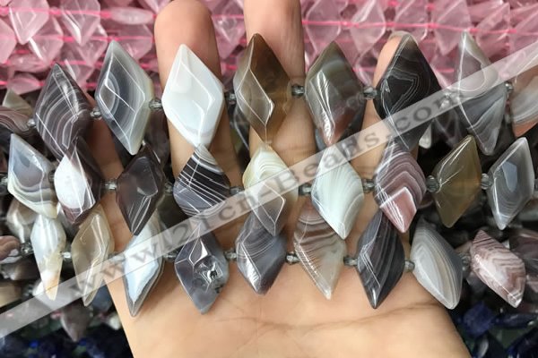 CNG7877 13*20mm - 15*25mm faceted freeform Botswana agate beads