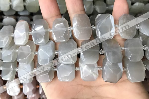 CNG7882 13*18mm - 15*25mm faceted freeform moonstone beads